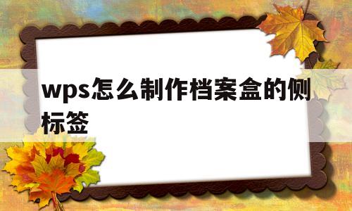 wps怎么制作档案盒的侧标签(wps档案盒的侧面标签怎么打印才好看)