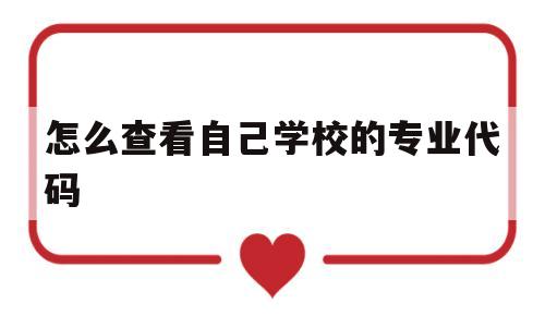 怎么查看自己学校的专业代码(怎么查看自己学校的专业代码信息)