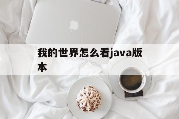 我的世界怎么看java版本(如何看我的世界是java版还是基岩版)