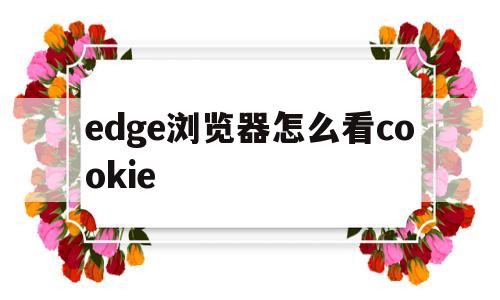 edge浏览器怎么看cookie(Edge浏览器怎么看打开的是不是官网)