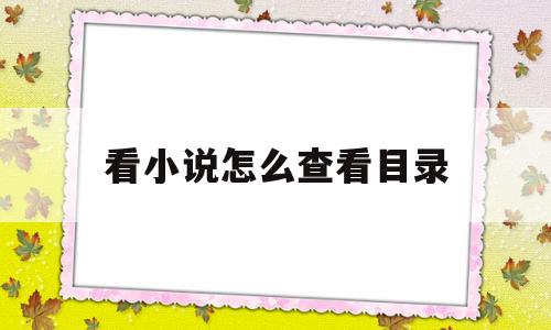 看小说怎么查看目录(怎么在看小说时查找目录)