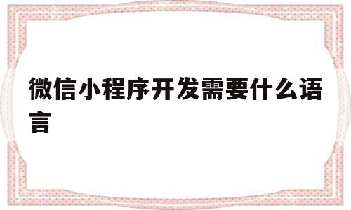 微信小程序开发需要什么语言(微信小程序开发需要什么语言基础)