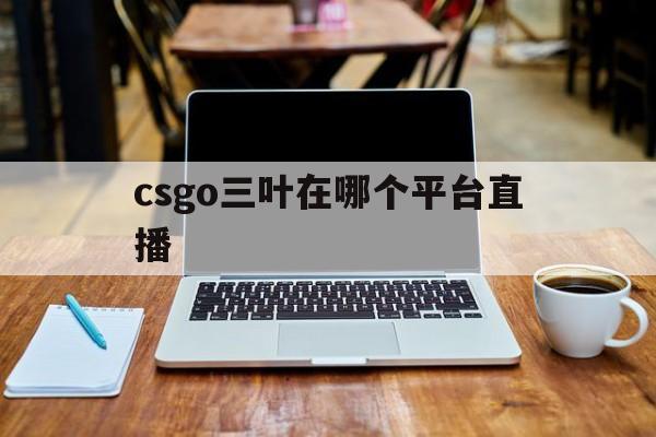 csgo三叶在哪个平台直播(csgo三叶被踢出职业队了吗)