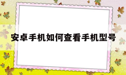 安卓手机如何查看手机型号(安卓手机如何查看手机型号是多少)