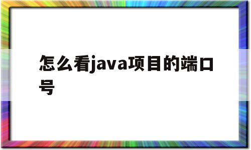 怎么看java项目的端口号(java检测端口号是否被占用)