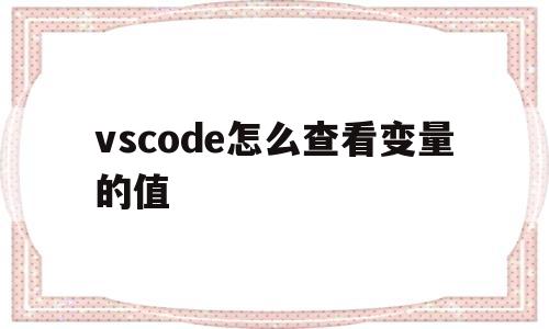 vscode怎么查看变量的值的简单介绍