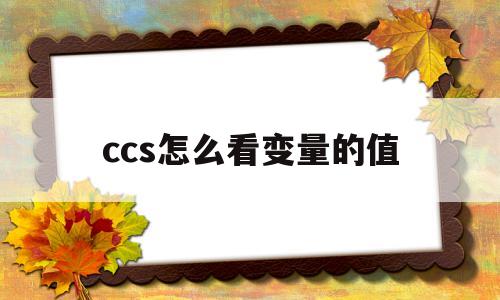 ccs怎么看变量的值(ccs变量观察窗口在哪)