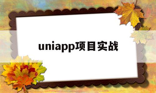 uniapp项目实战(uniapp项目实战app课程设计报告)