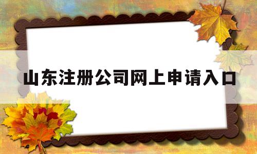 山东注册公司网上申请入口(山东注册公司网上申请入口官网)