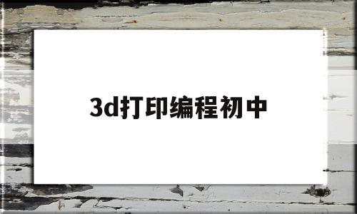 3d打印编程初中(3d打印编程初中生能学吗)