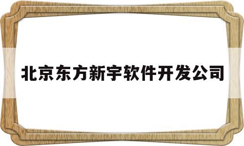 北京东方新宇软件开发公司(北京东方新研科技有限公司)