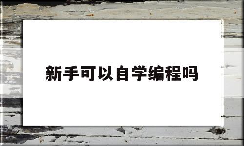 新手可以自学编程吗(新手可以自学编程吗女生)