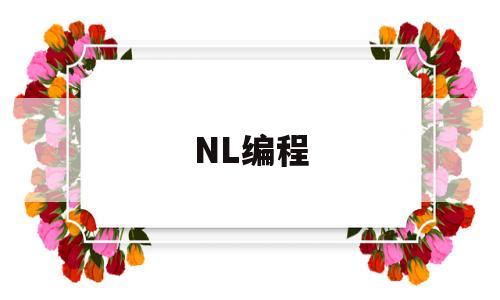 NL编程的简单介绍