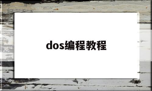 关于dos编程教程的信息