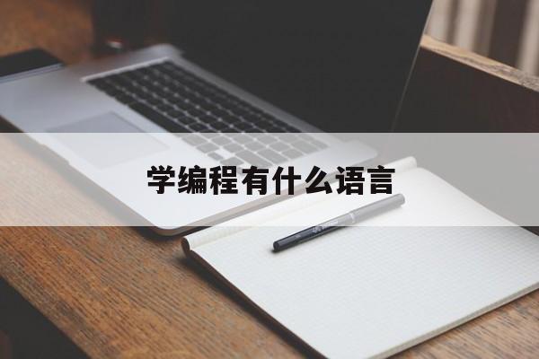 学编程有什么语言(学编程有什么语言可以学)