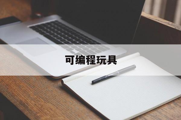 可编程玩具(可编程玩具专业项目的资本结构)