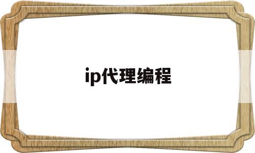 ip代理编程(ip代理有什么作用)