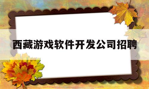 西藏游戏软件开发公司招聘(西藏游戏软件开发公司招聘电话)