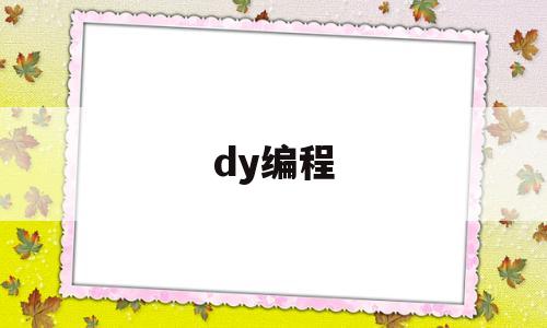 dy编程的简单介绍