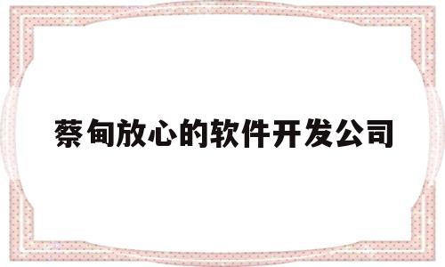 蔡甸放心的软件开发公司(武汉市软件开发有限公司有哪些)