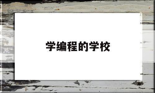 学编程的学校(学编程的学校哪所比较好)