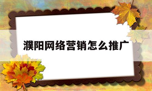 包含濮阳网络营销怎么推广的词条