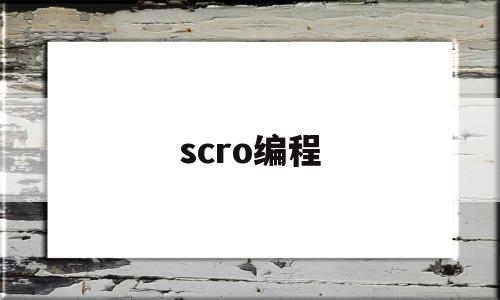 scro编程(scratch编程)