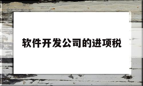 软件开发公司的进项税(软件开发公司进项是什么)