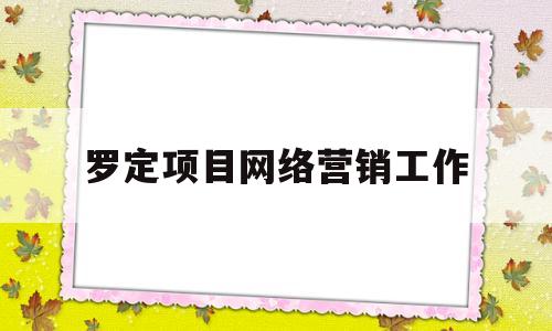 罗定项目网络营销工作(网络营销项目实施经验总结)