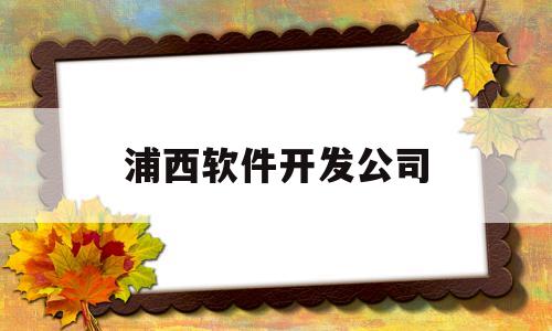 浦西软件开发公司(中国软件开发公司50强)