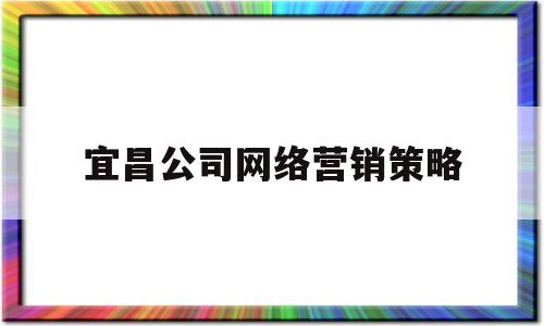 宜昌公司网络营销策略(宜昌公司网络营销策略分析)