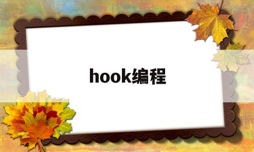 hook编程(hook怎么编)