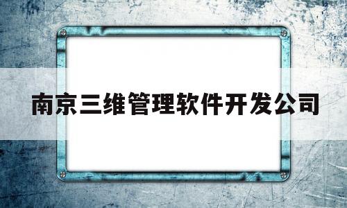 南京三维管理软件开发公司(南京三维管理软件开发公司怎么样)