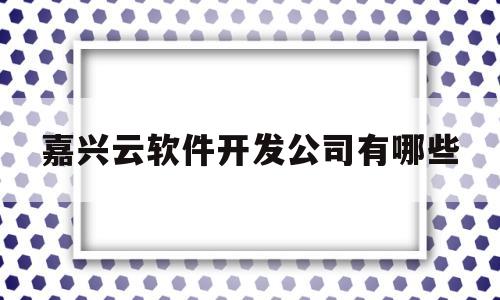 嘉兴云软件开发公司有哪些(嘉兴云府花园)