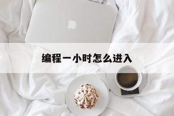 编程一小时怎么进入(codeorg编程一小时)