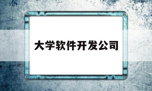 大学软件开发公司(大学软件开发学费多少钱)