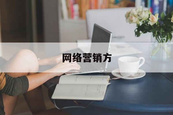 网络营销方(网络营销方案案例范文)