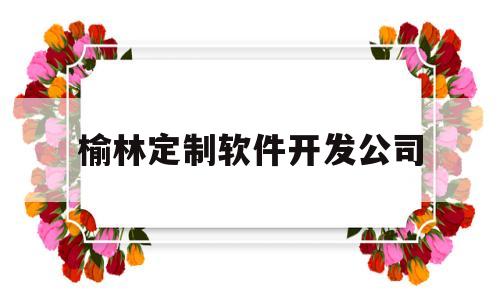 榆林定制软件开发公司(榆林定制软件开发公司电话)