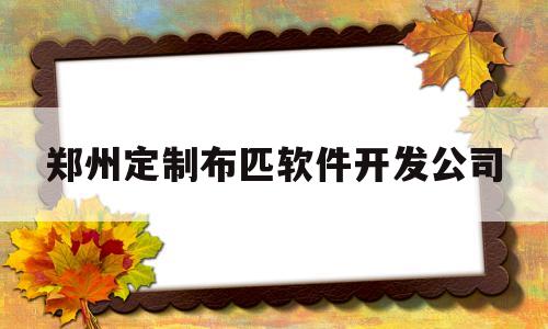 郑州定制布匹软件开发公司(郑州定制布匹软件开发公司有哪些)