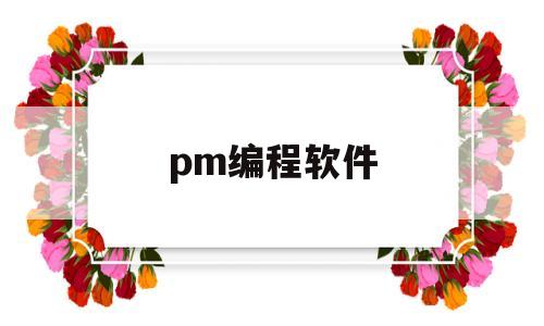 pm编程软件(PM编程软件我使用毛胚之后那个建模就不见了)