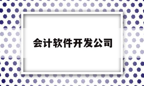 会计软件开发公司(软件开发公司的会计)