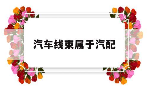 汽车线束属于汽配(汽车配件,线束是什么)