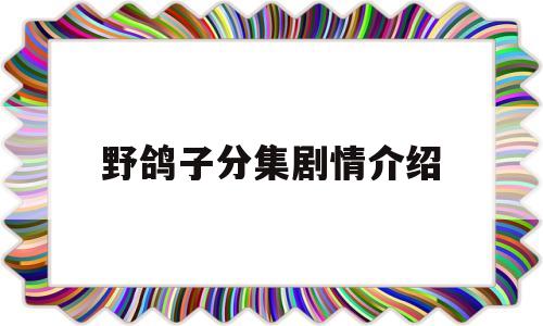 野鸽子分集剧情介绍(电视剧野鸽子剧情介绍)