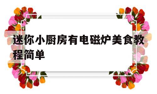 迷你小厨房有电磁炉美食教程简单的简单介绍