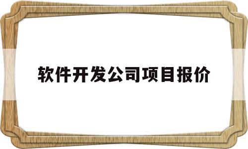 软件开发公司项目报价(软件开发报价方案怎么做)