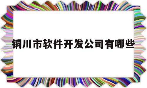 铜川市软件开发公司有哪些的简单介绍