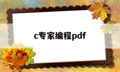 c专家编程pdf(如何成为专家pdf)