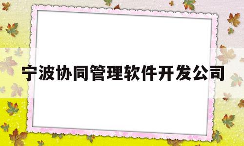 关于宁波协同管理软件开发公司的信息