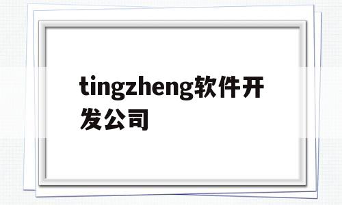 包含tingzheng软件开发公司的词条