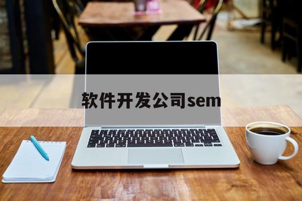 软件开发公司sem(软件开发公司联系方式)